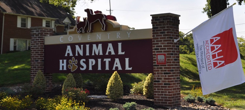 Best Vets in ProvidenceCoventry Animal Hospital Total Vet Best Vets in Providence Coventry Animal Hospital