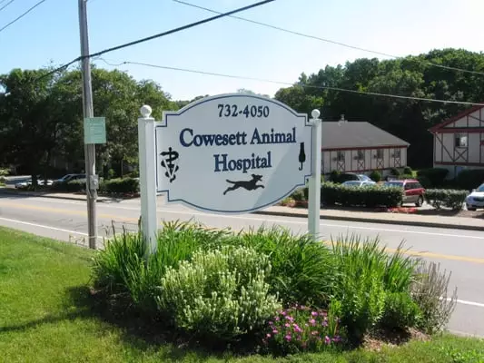 Best Vets in ProvidenceCowesett Animal Hospital Total Vet Best Vets in Providence Cowesett Animal Hospital
