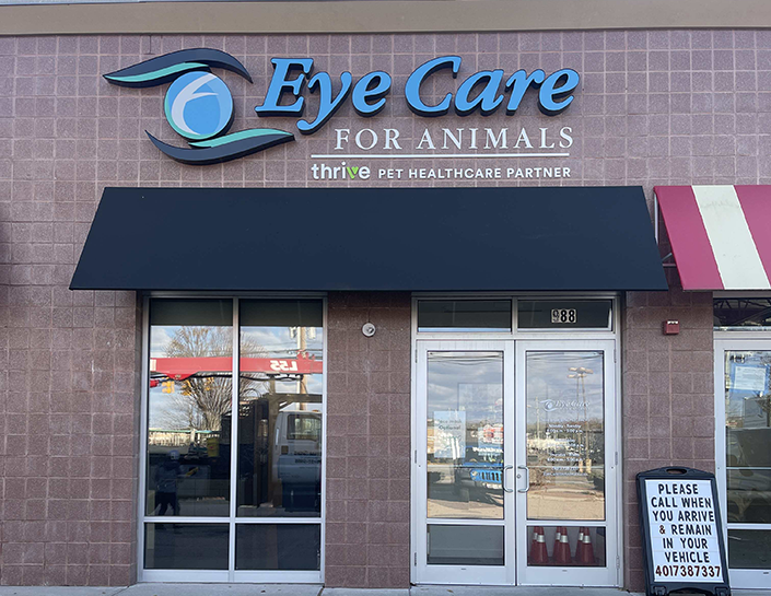 Best Vets in ProvidenceEye Care for AnimalsWarwick Total Vet Best Vets in Providence Eye Care for Animals Warwick
