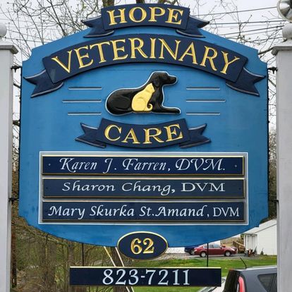 Best Vets in ProvidenceHope Veterinary Care Total Vet Best Vets in Providence Hope Veterinary Care