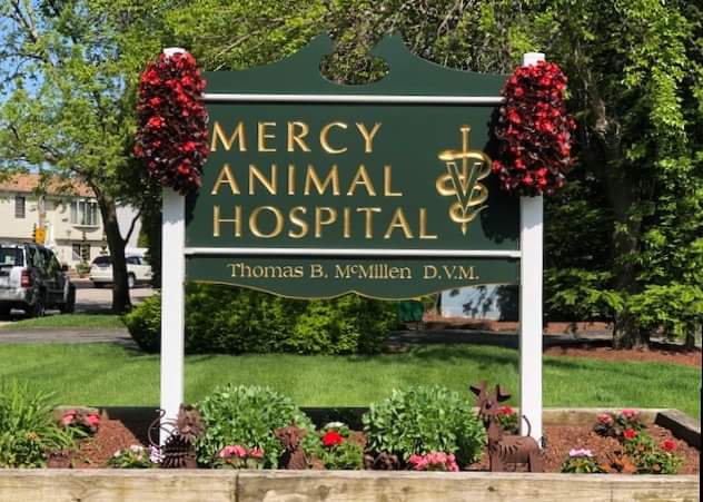 Best Vets in ProvidenceMercy Animal Hospital Total Vet Best Vets in Providence Mercy Animal Hospital