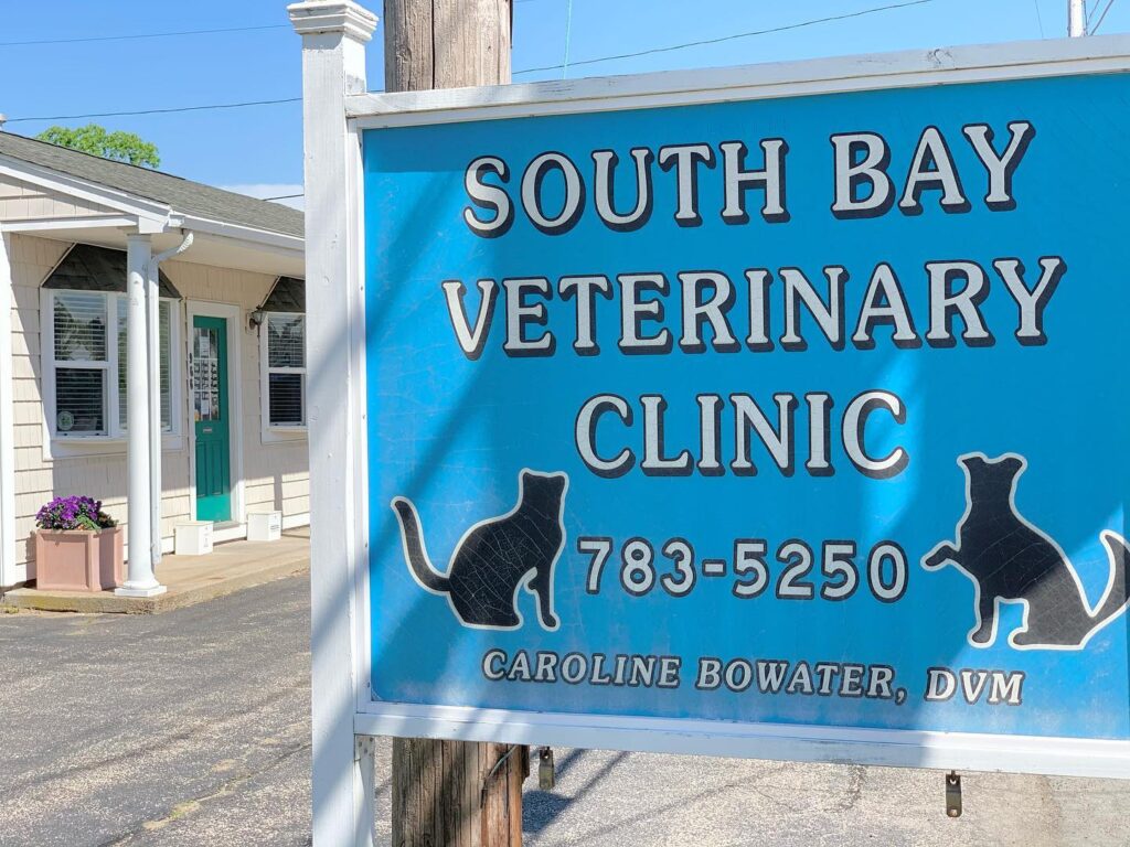 Total Vet Best Vets in Providence South Bay Veterinary Clinic