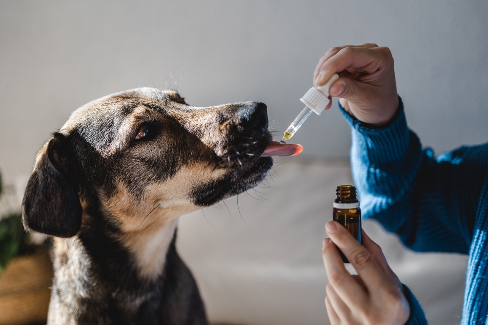 Total Vet CBD dog dosage
