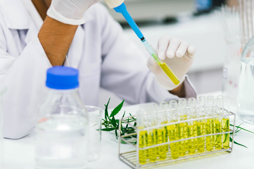 Total Vet cbd extraction