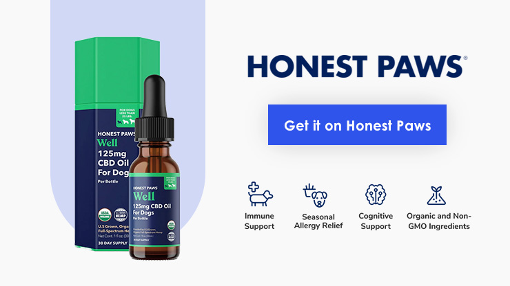 Honest Paws Well CBD Oil for Dogs Total Vet Honest Paws Well CBD Oil for Dogs