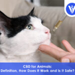 CBD for Animals