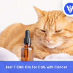Best CBD Oils For Cats with Cancer