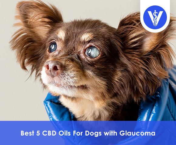 Best CBD Oils For Dogs with Glaucoma Total Vet Best CBD Oils For Dogs with Glaucoma