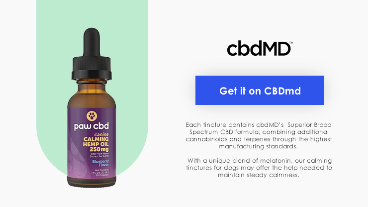 cbdMD Dog Calming CBD Oil Total Vet cbdMD Dog Calming CBD Oil