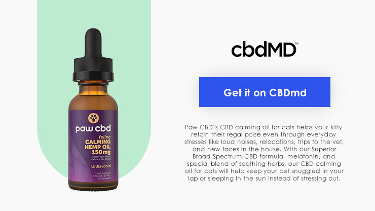cbdMD Calming CBD Oil for Cats Total Vet cbdMD Calming CBD Oil for Cats