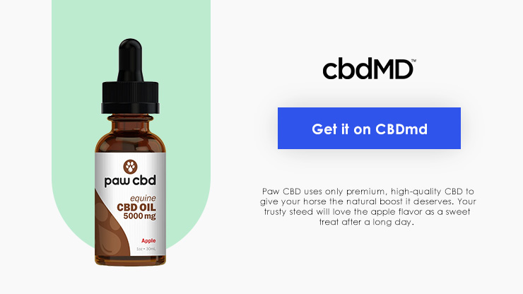 cbdMD CBD Oil Tinctures for Horses Total Vet cbdMD CBD Oil Tinctures for Horses