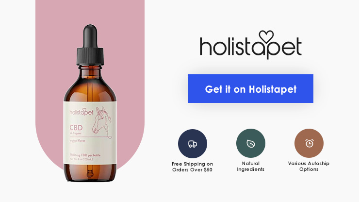 Holistapet CBD Oil for Horses Total Vet Holistapet CBD Oil for Horses
