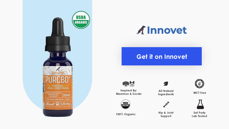 Innovet Pet CBD Oil for Cats Total Vet Innovet Pet CBD Oil for Cats