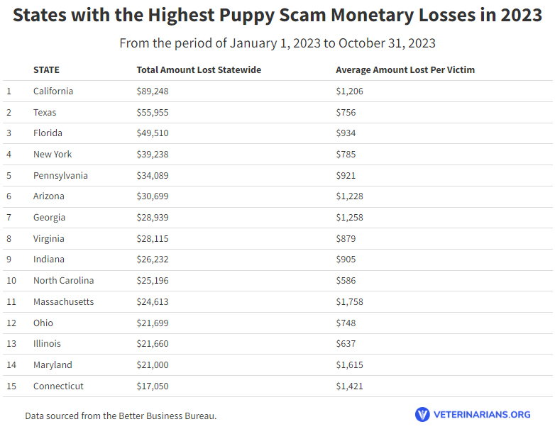 puppiesforsale2023 Total Vet