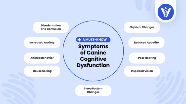 Canine Cognitive Disorder Symptoms Total Vet Canine Cognitive Disorder Symptoms