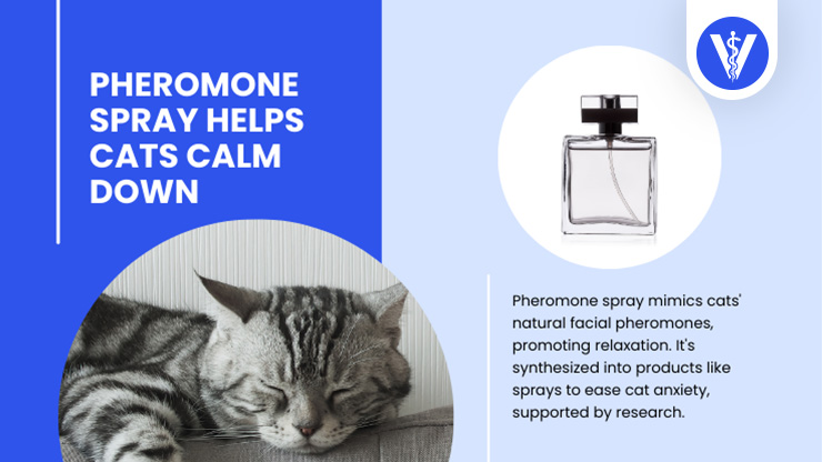Cat Anxiety Pheromone Spray Total Vet Cat Anxiety Pheromone Spray