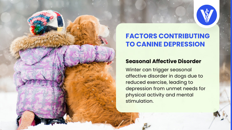 Depression in Dogs Causes SAD Total Vet Depression in Dogs Causes SAD