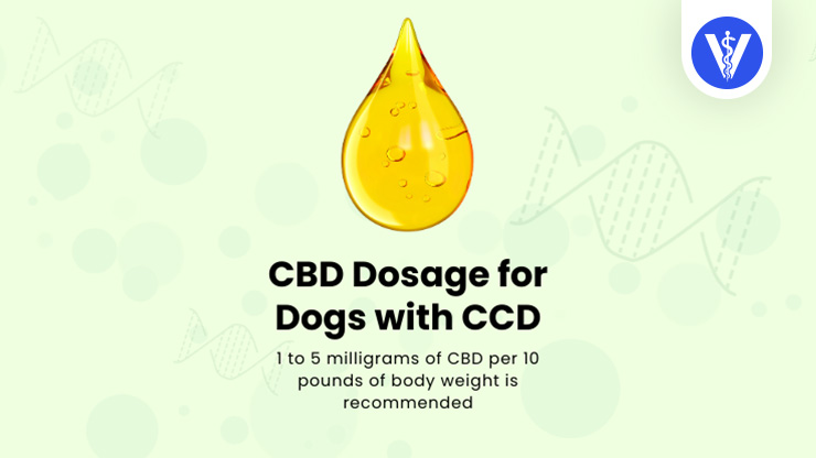 CBD Dosage Canine Cognitive Disorder Total Vet CBD Dosage Canine Cognitive Disorder