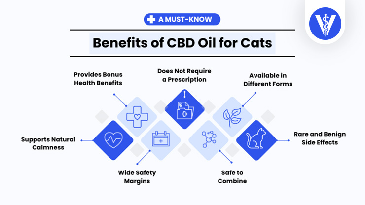 Benefits of CBD Oil for Cats Total Vet Benefits of CBD Oil for Cats
