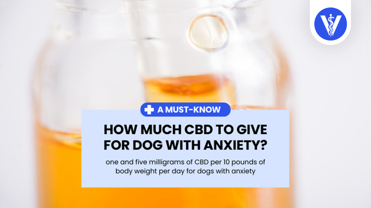 Dog Anxiety CBD Dosage Total Vet Dog Anxiety CBD Dosage