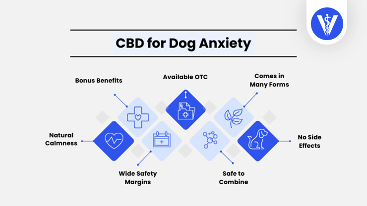CBD For Dog Anxiety Total Vet CBD For Dog Anxiety