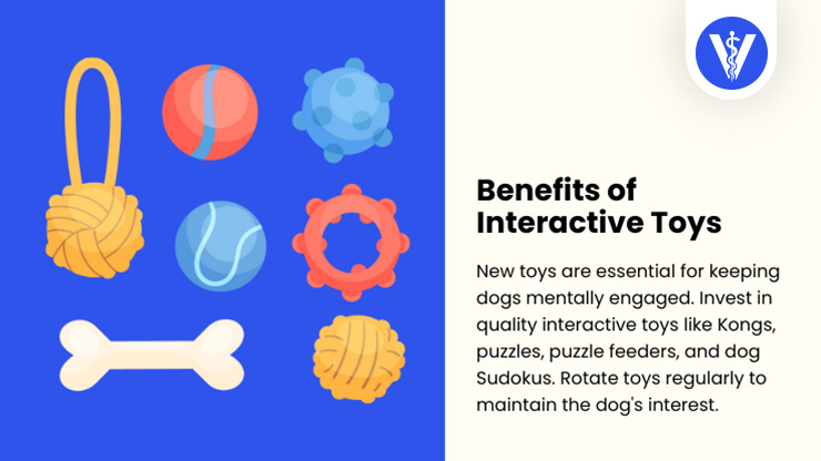Preventive Measures Depression in Dogs Toys Total Vet Preventive Measures Depression in Dogs Toys