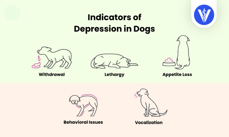 Depression in Dogs Signs Total Vet Depression in Dogs Signs