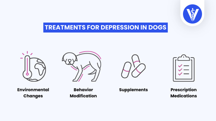 Treatments Depression in Dogs Total Vet Treatments Depression in Dogs