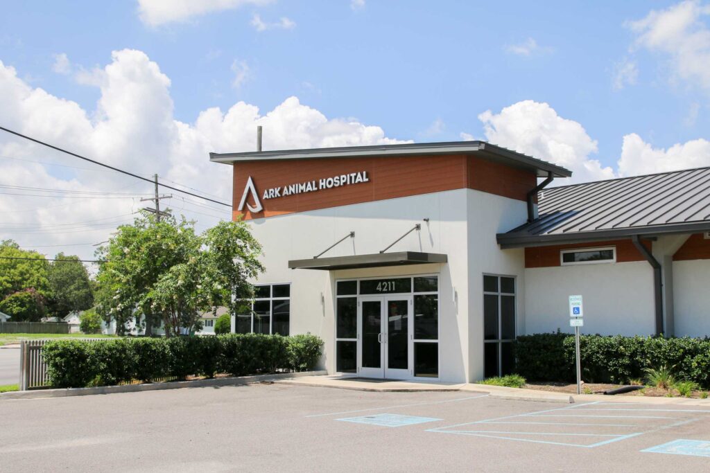 Best Vets in Kansas CityArk Animal Hospital Total Vet Best Vets in Kansas City Ark Animal Hospital