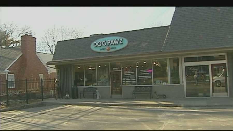 Best Vets in Kansas CityDog Pawz Leawood Total Vet Best Vets in Kansas City Dog Pawz Leawood