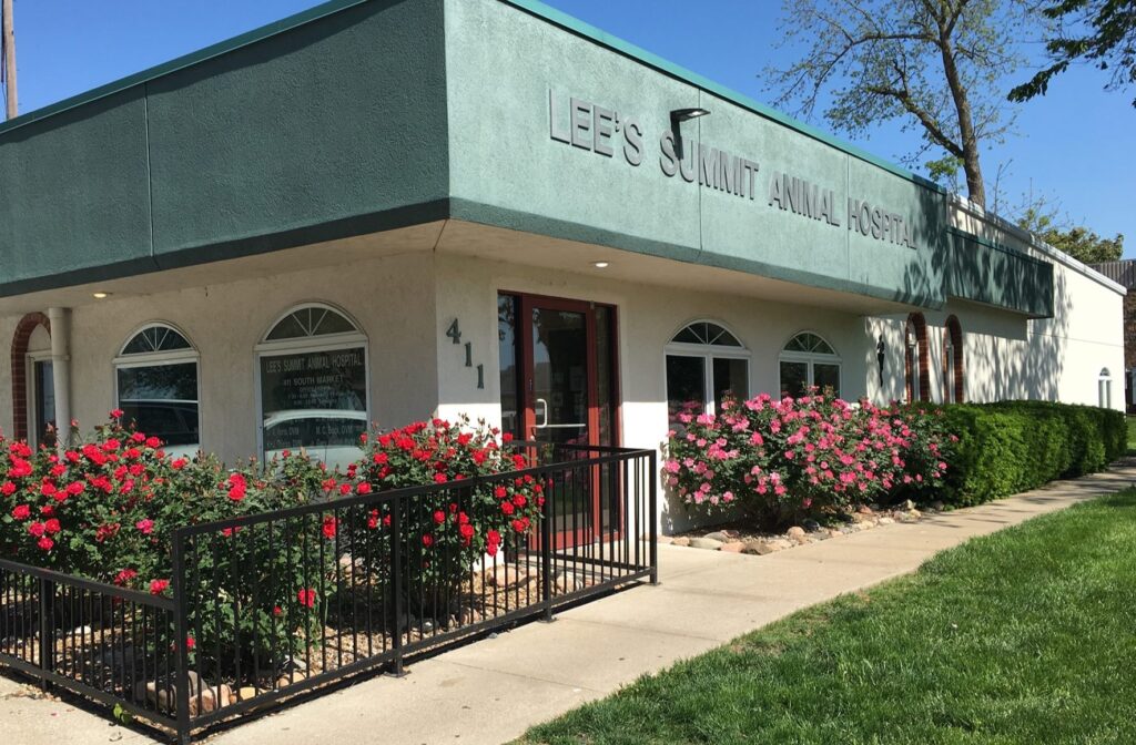 Lees Summit Animal Hospital Total Vet Best Vets in Kansas City Lees Summit Animal Hospital