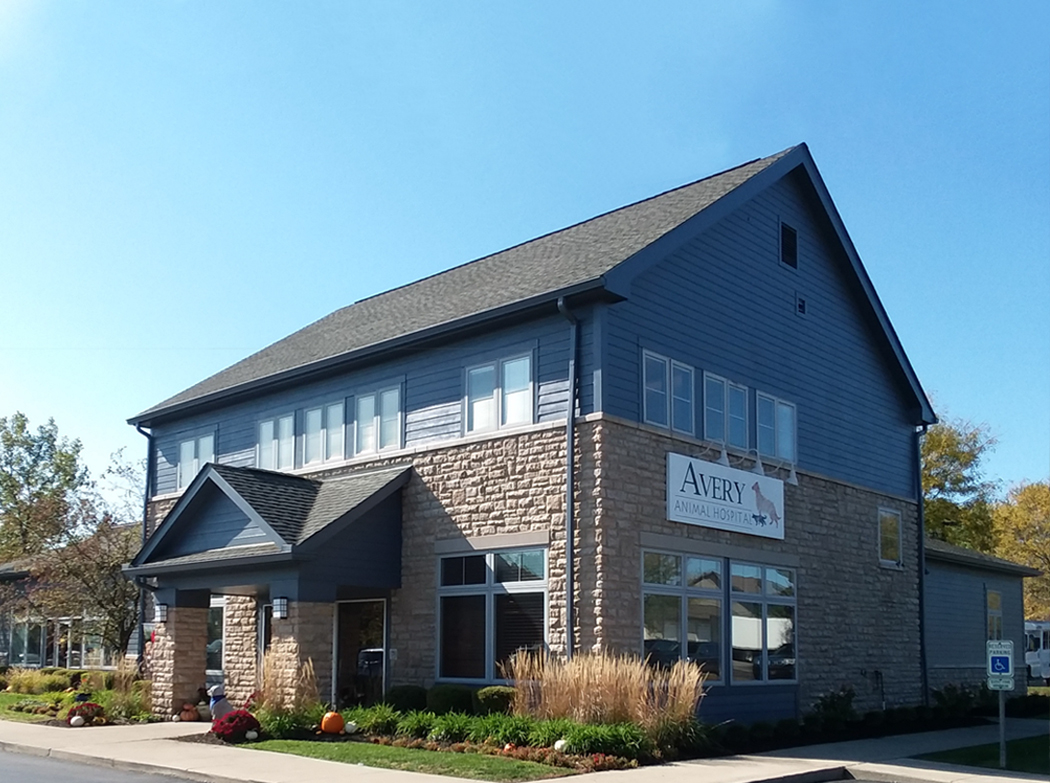 BestVetsinColumbusAveryAnimalHospital Total Vet Best Vets in Columbus Avery Animal Hospital