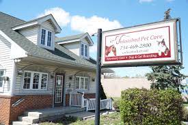 BestVetsinDetroitUnleashedPetCare Total Vet Best Vets in Detroit Unleashed Pet Care