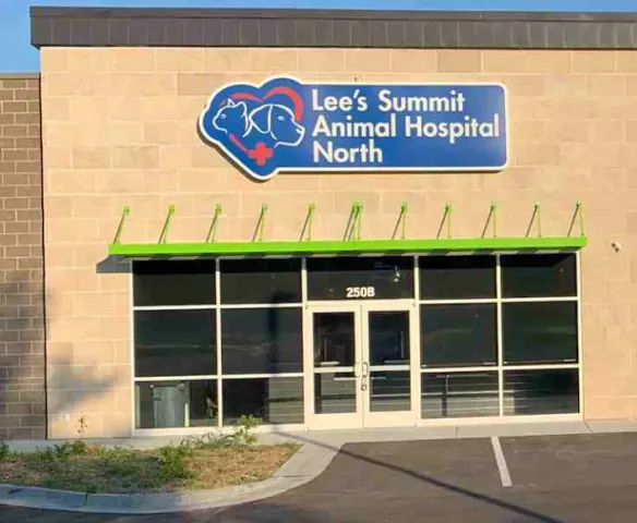 Best Vets in Kansas CityLees Summit Animal Hospital North Total Vet Best Vets in Kansas City Lees Summit Animal Hospital North