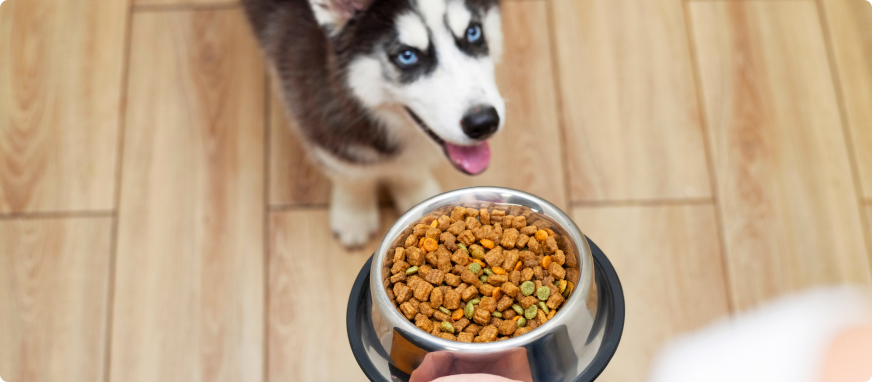 apupabovedogfoodingredients Total Vet